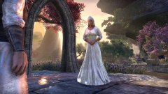 The Elder Scrolls Online Morrowind Upgrade (Playstation)