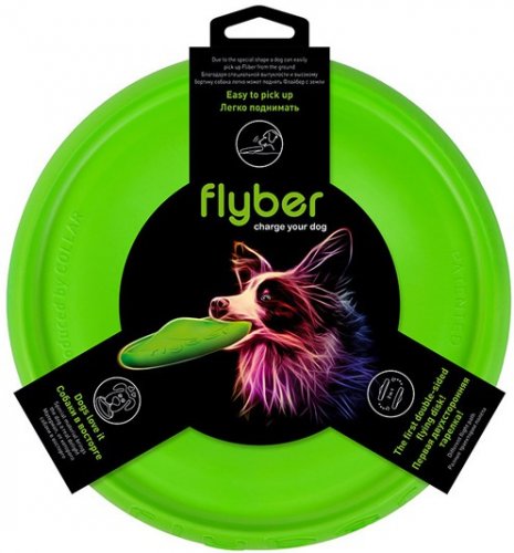 Flyber - oboustranný létající disk 22cm