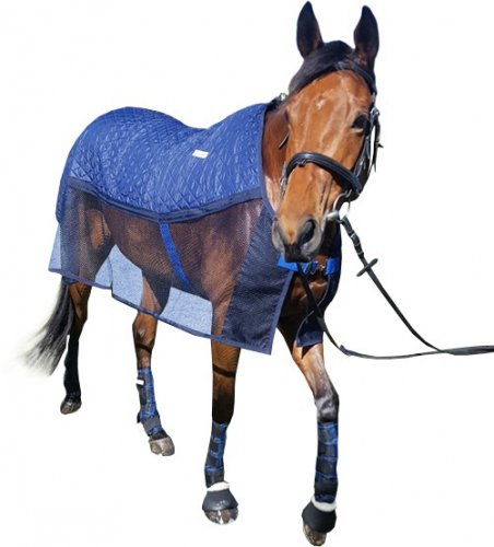 Chladící deka pro koně HyperKewl AeroChill modrá L