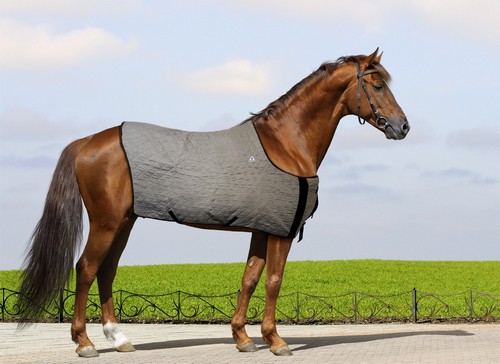 Chladící deka pro koně HyperKewl Horse Blanket šedá / S-M