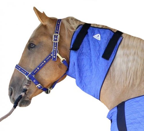 Chladící nákrčník pro koně HyperKewl Horse Neck modrý / L