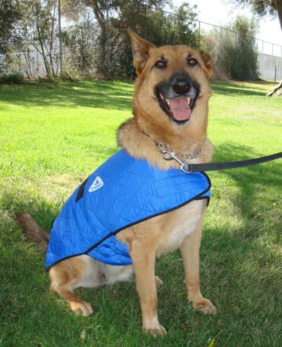 Chladící vesta pro psy HyperKewl modrá 15-20cm / XS
