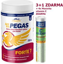 VITAR Veterinae ArtiVit Pegas Forte 7 prášek 700g