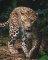 Mikroflanelová dětská deka Leopard green 120x150 cm